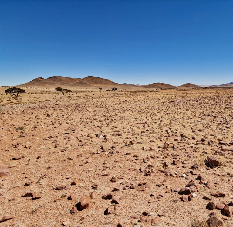 Le Namib : parc national Naukluft