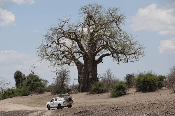 afrique-australe-en-4x4