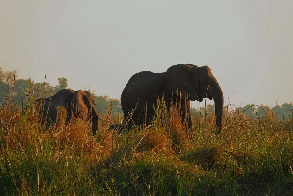 Namibie pays de contraste et de diversité