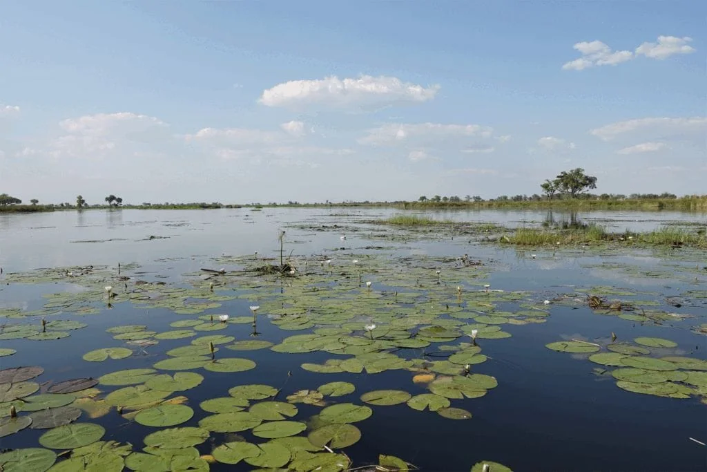 voyage-au-botswana