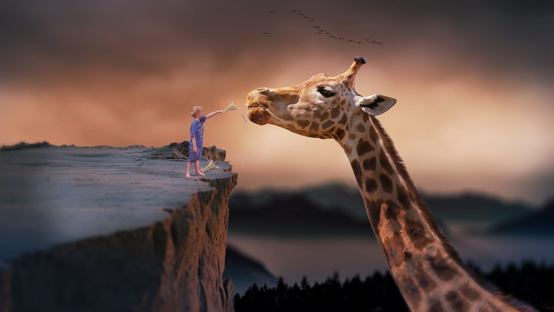 4144132 giraffe 1959110 1920 3