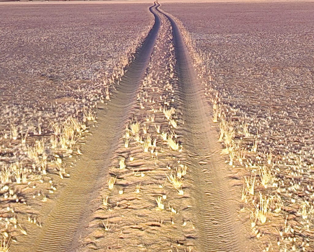 trace rodad trip naukluft